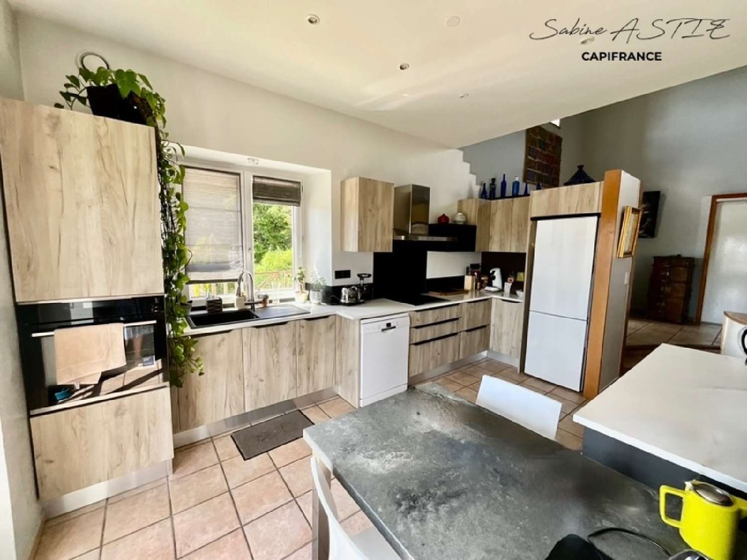  for sale house Pomeys Rhône 3