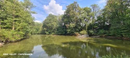 Pontonx-sur-l'Adour Landes house foto