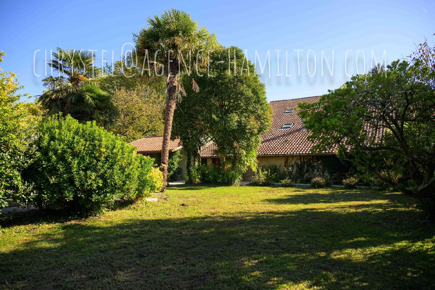  te koop huis Port-de-Lanne Landes 5