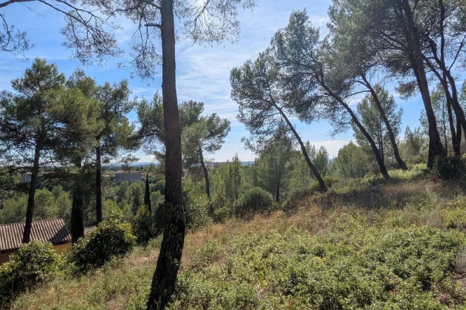  kaufen Haus Prades-le-Lez Hérault 2