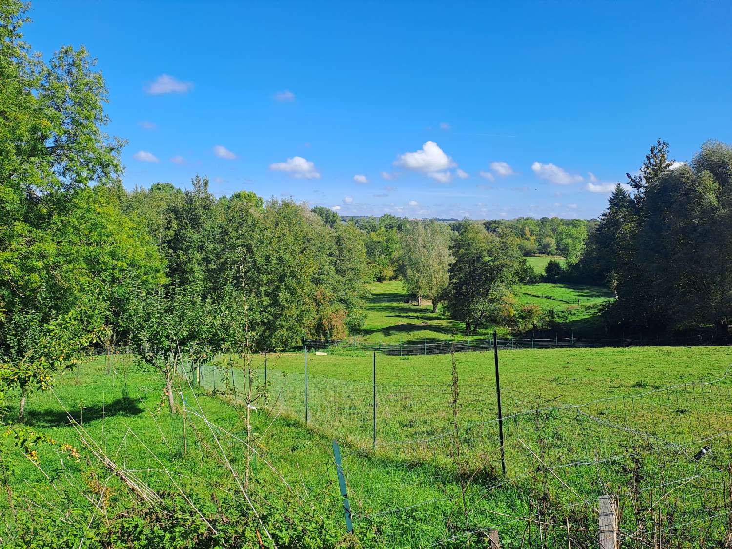 te koop huis Proisy Aisne 3