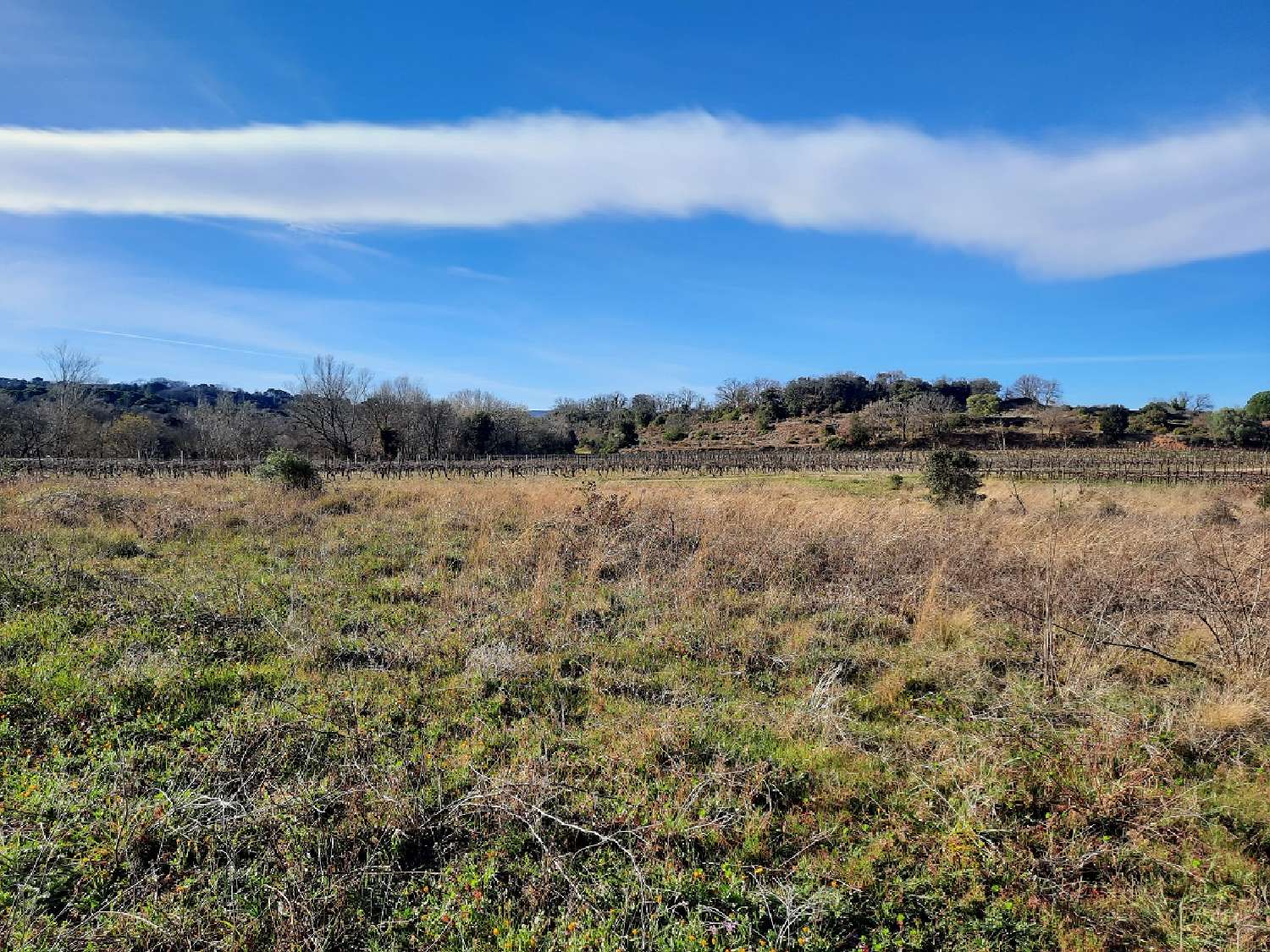  en venta casa Puimisson Hérault 2