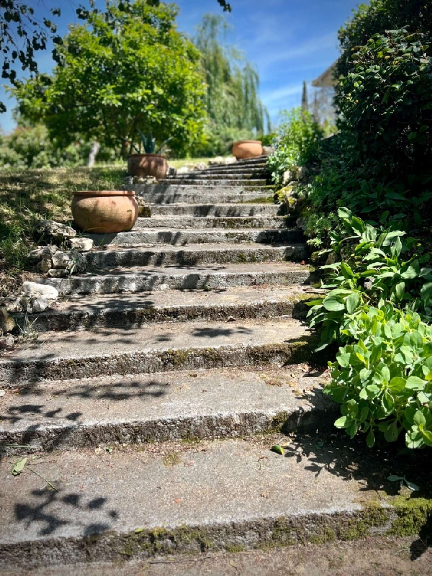  à vendre maison Pujols Lot-et-Garonne 4