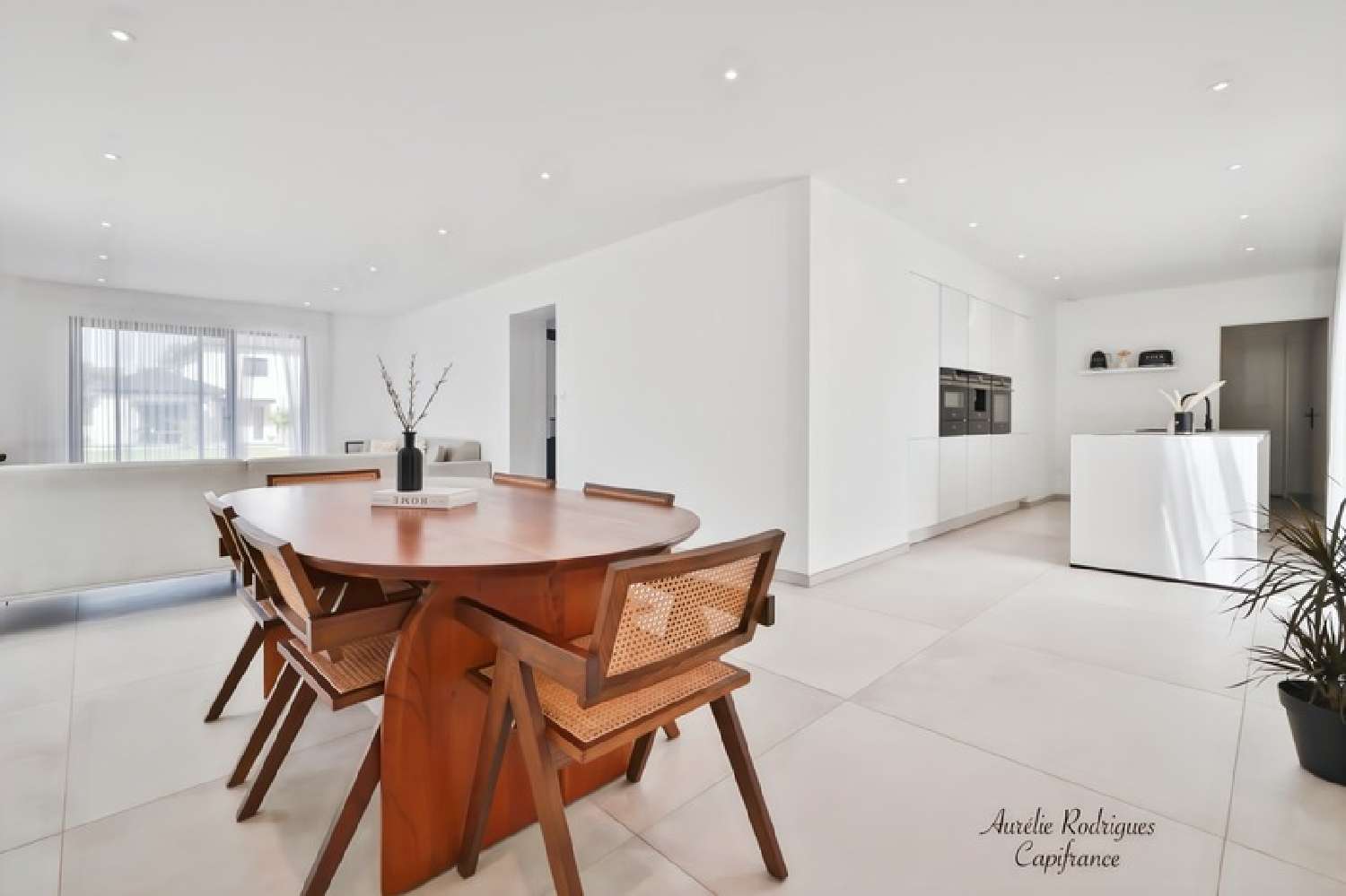  à vendre maison Replonges Ain 3