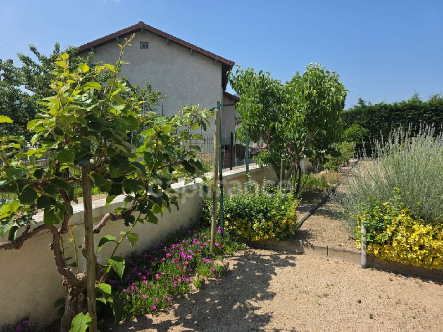  kaufen Haus Retournac Haute-Loire 5