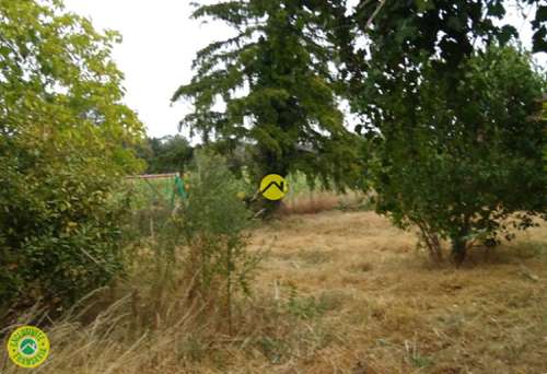  te koop huis Reuilly Indre 8