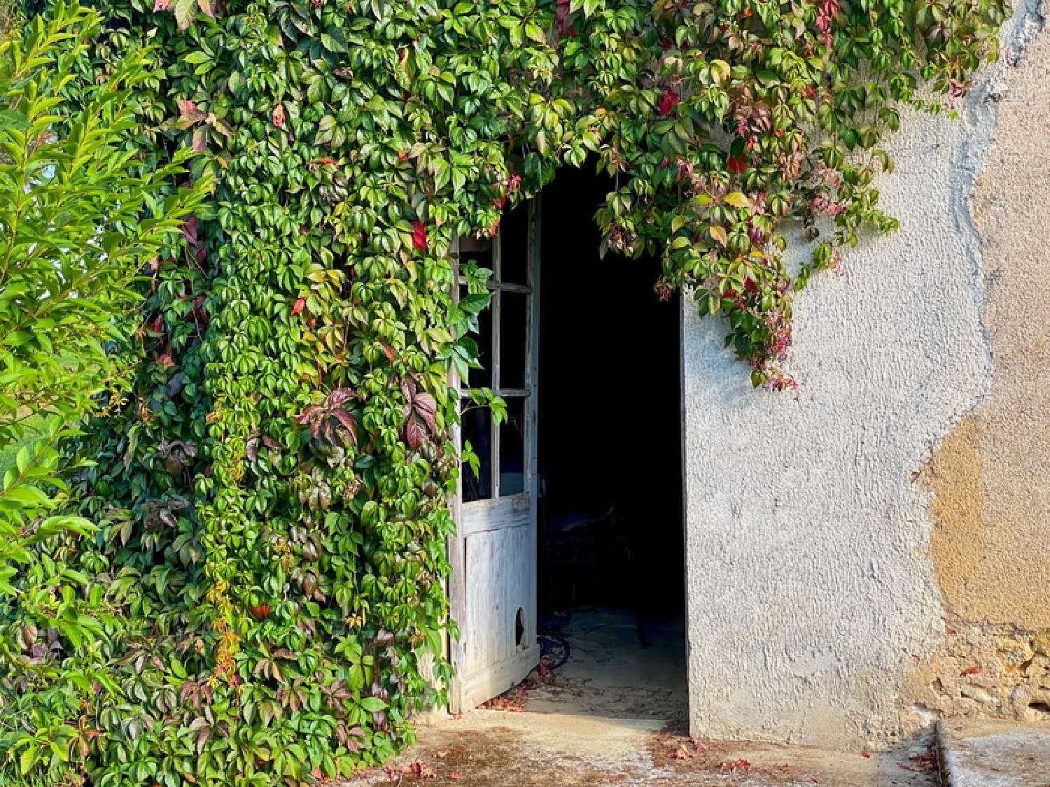  te koop huis Riguepeu Gers 3
