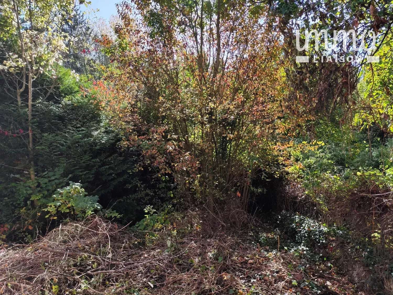 te koop huis Saclas Essonne 4