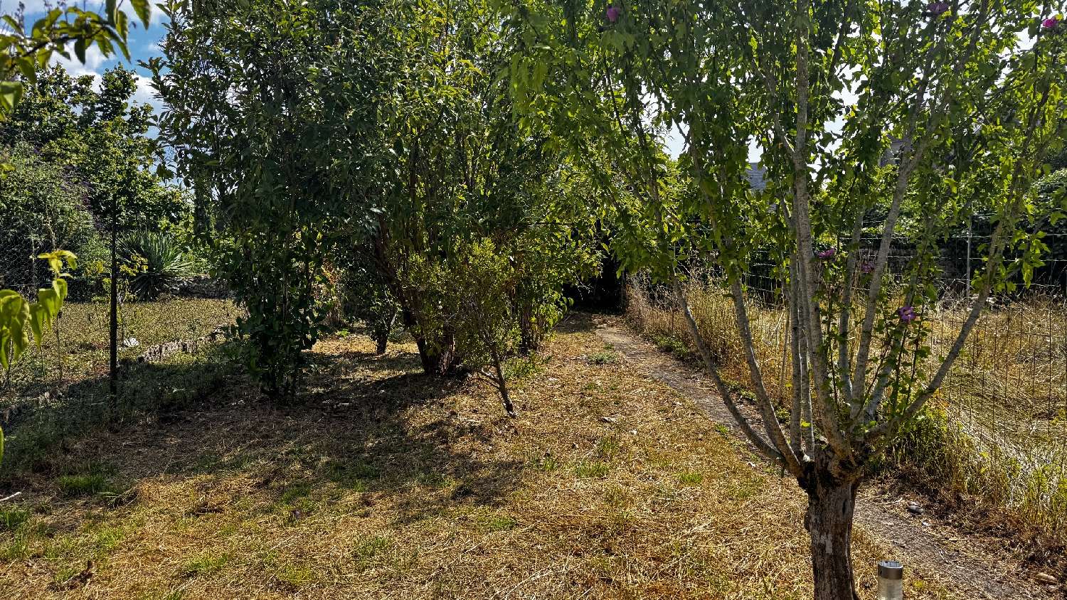  en venta casa Laramière Lot 5