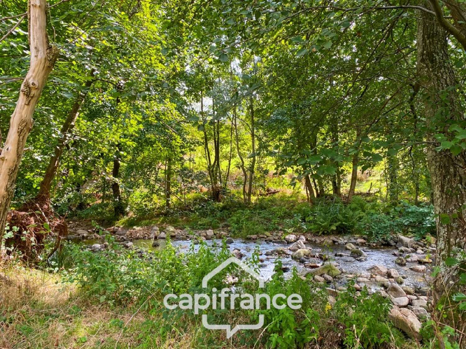  for sale house Saint-Alban-d'Ay Ardèche 4
