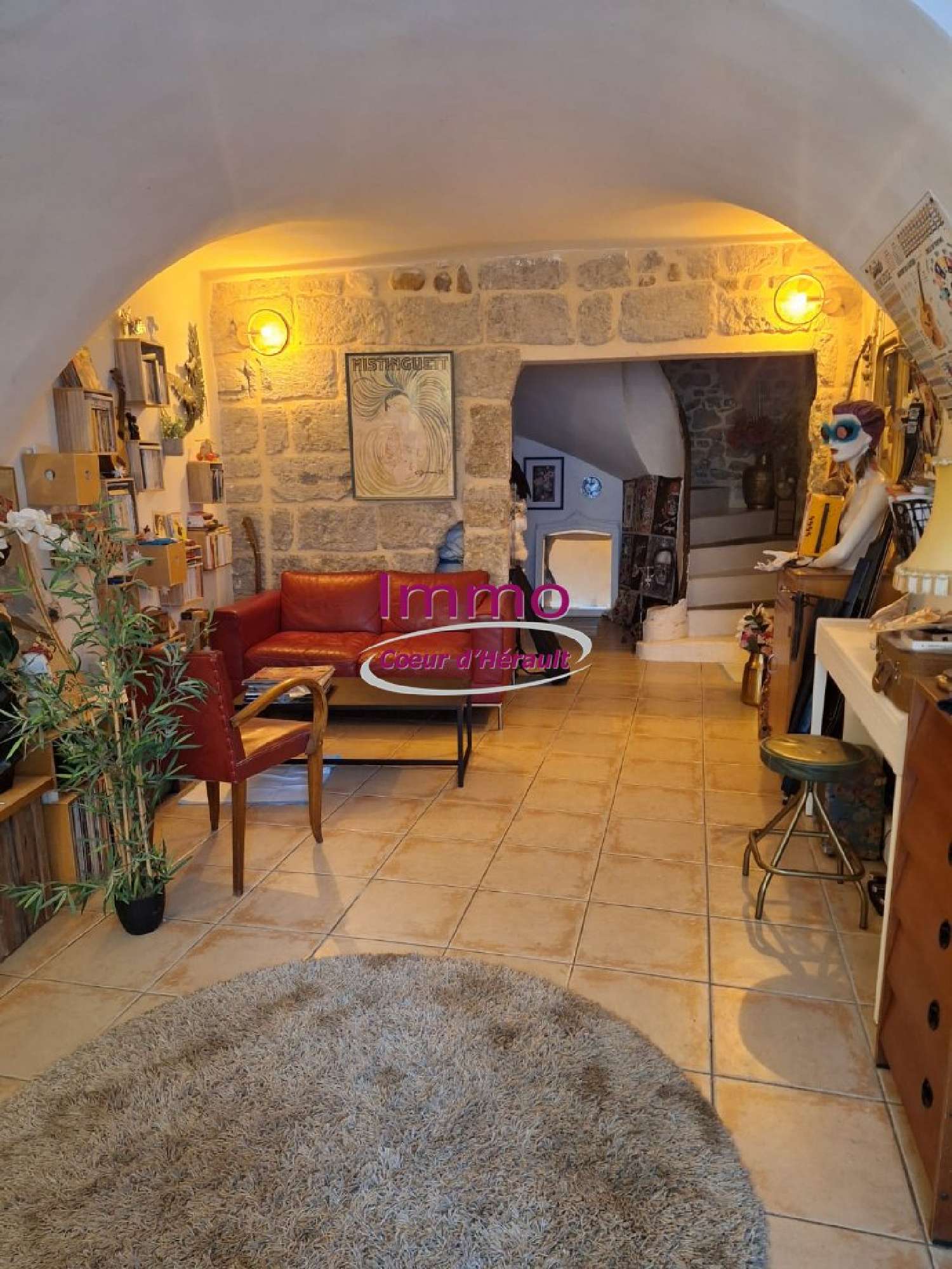  à vendre maison Saint-André-de-Sangonis Hérault 2