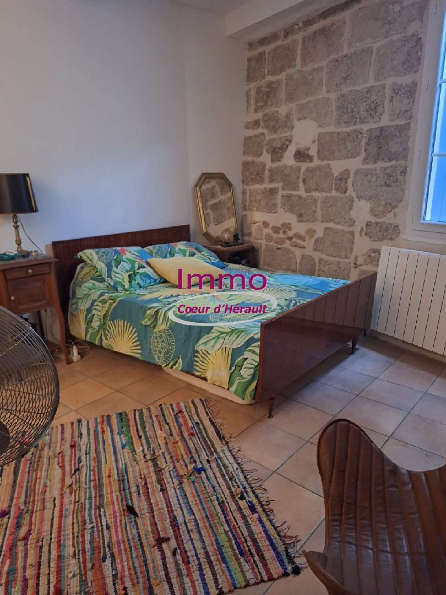  à vendre maison Saint-André-de-Sangonis Hérault 5