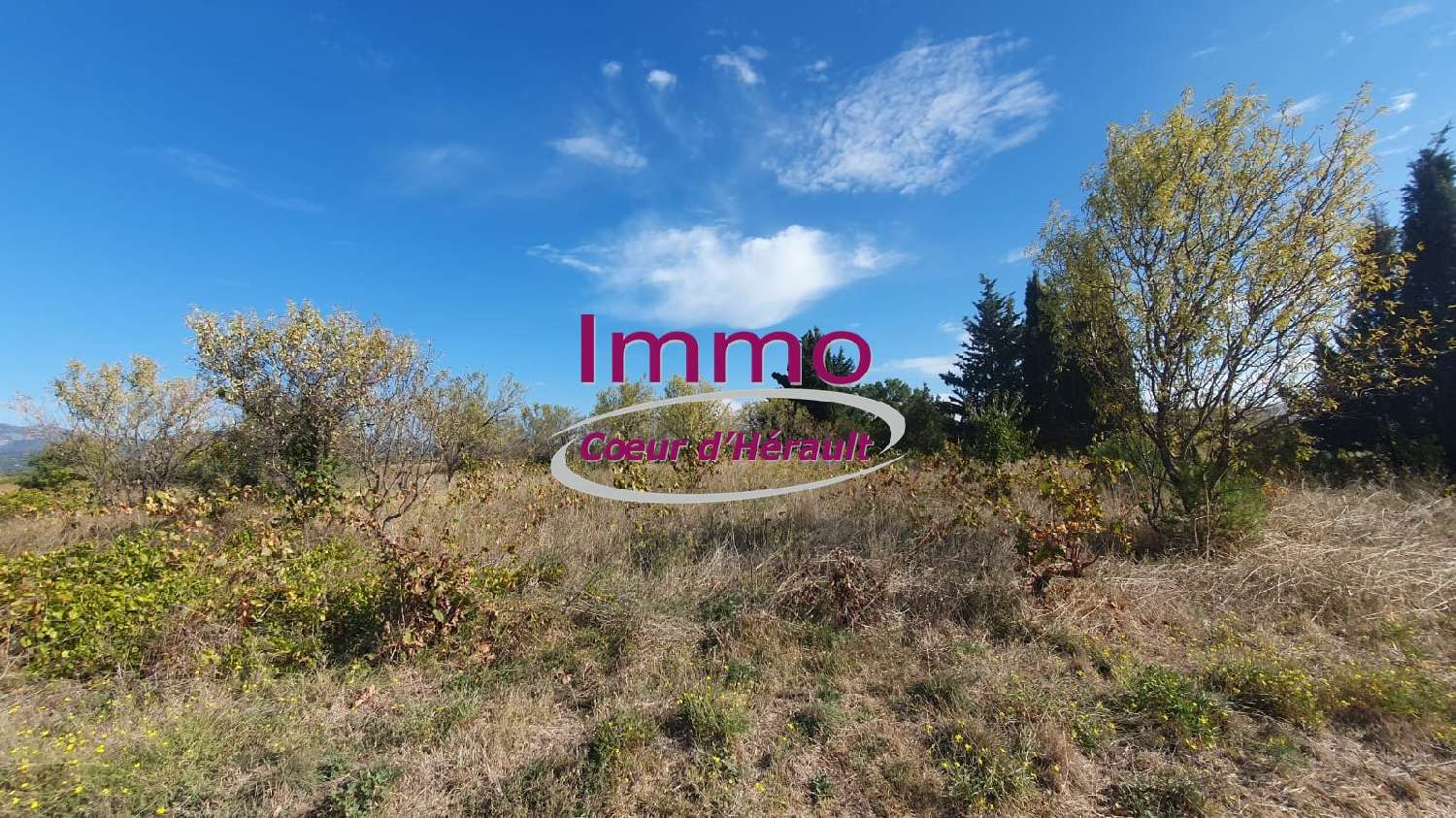  à vendre maison Saint-André-de-Sangonis Hérault 7