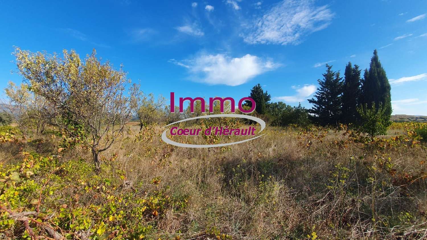  à vendre maison Saint-André-de-Sangonis Hérault 8