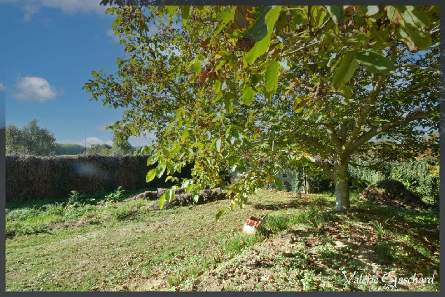  te koop huis Saint-Antoine-de-Breuilh Dordogne 3