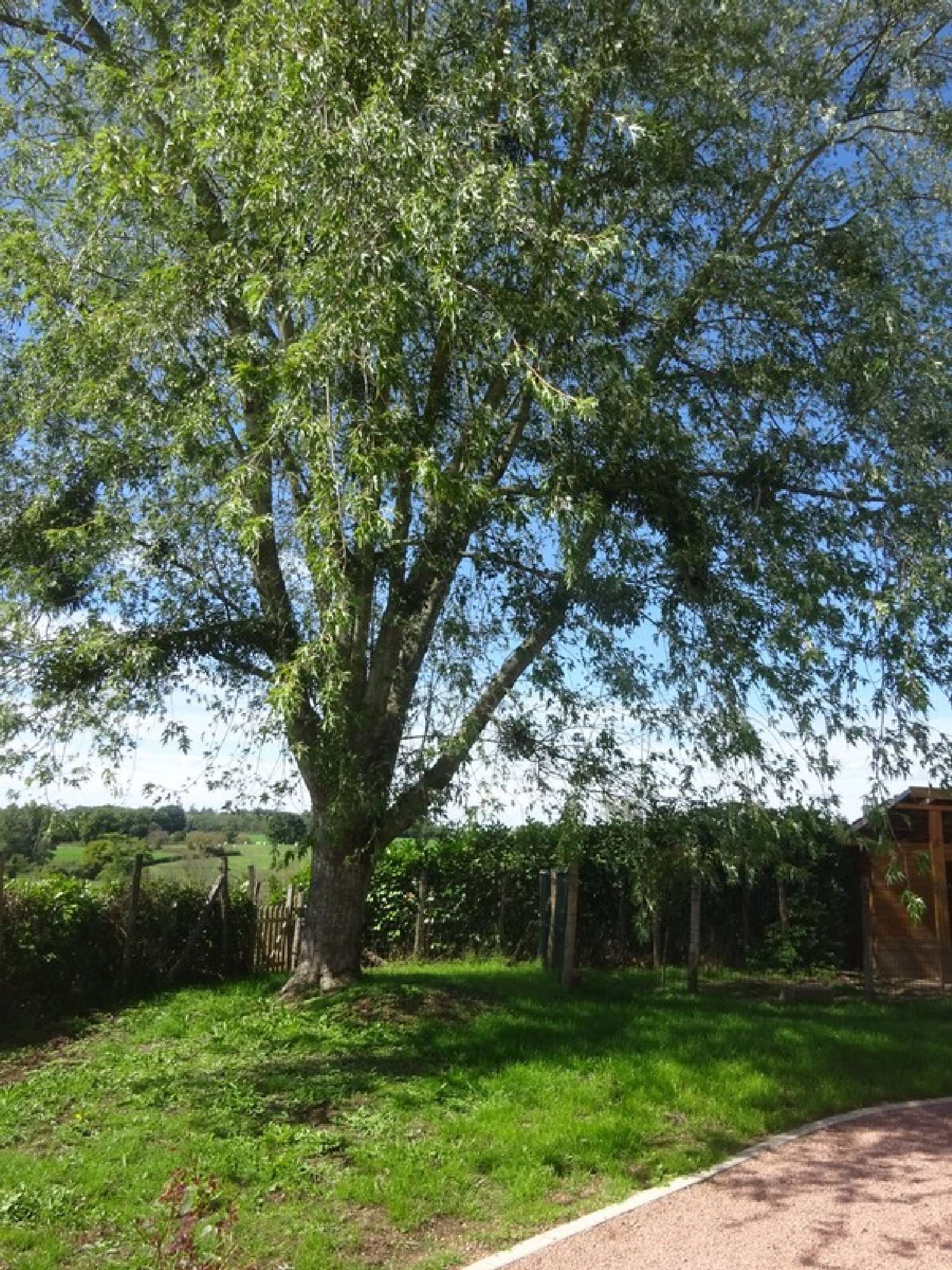  à vendre maison Saint-Aubin-en-Charollais Saône-et-Loire 4