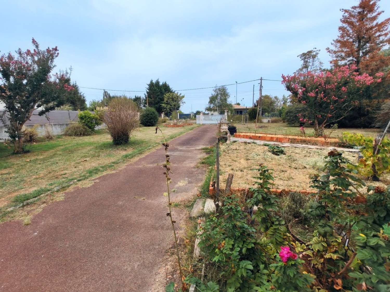  for sale house Saint-Denis-de-Pile Gironde 3