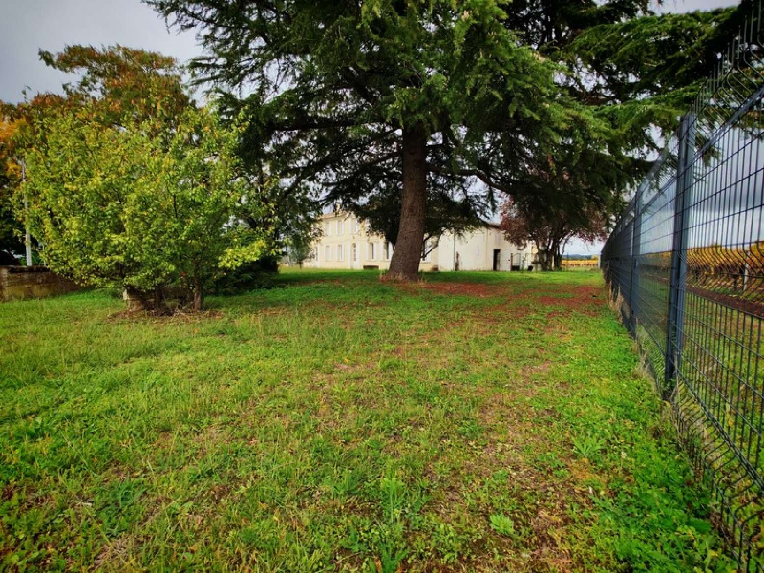 kaufen Haus Saint-Émilion Gironde 3