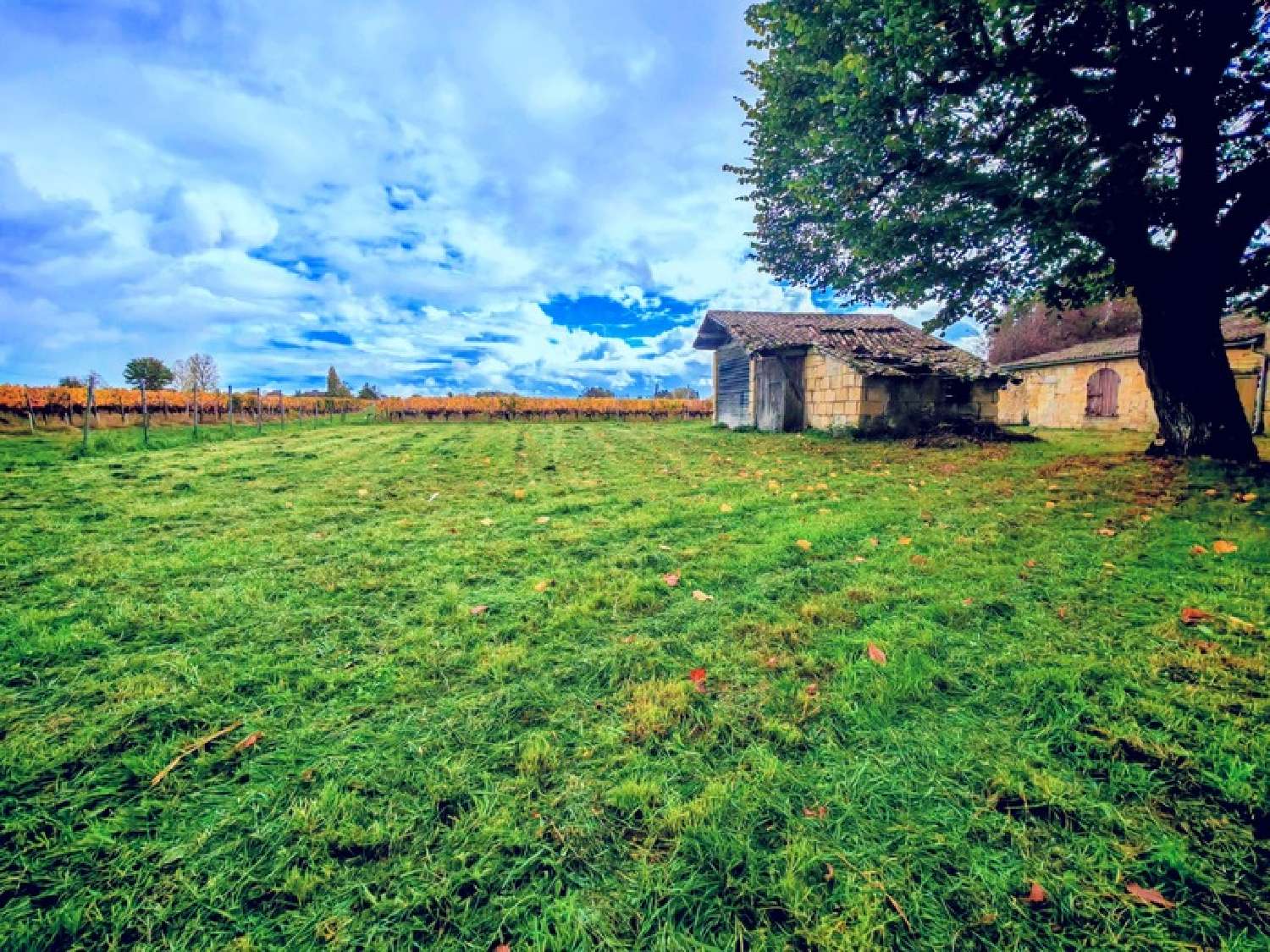 kaufen Haus Saint-Émilion Gironde 5