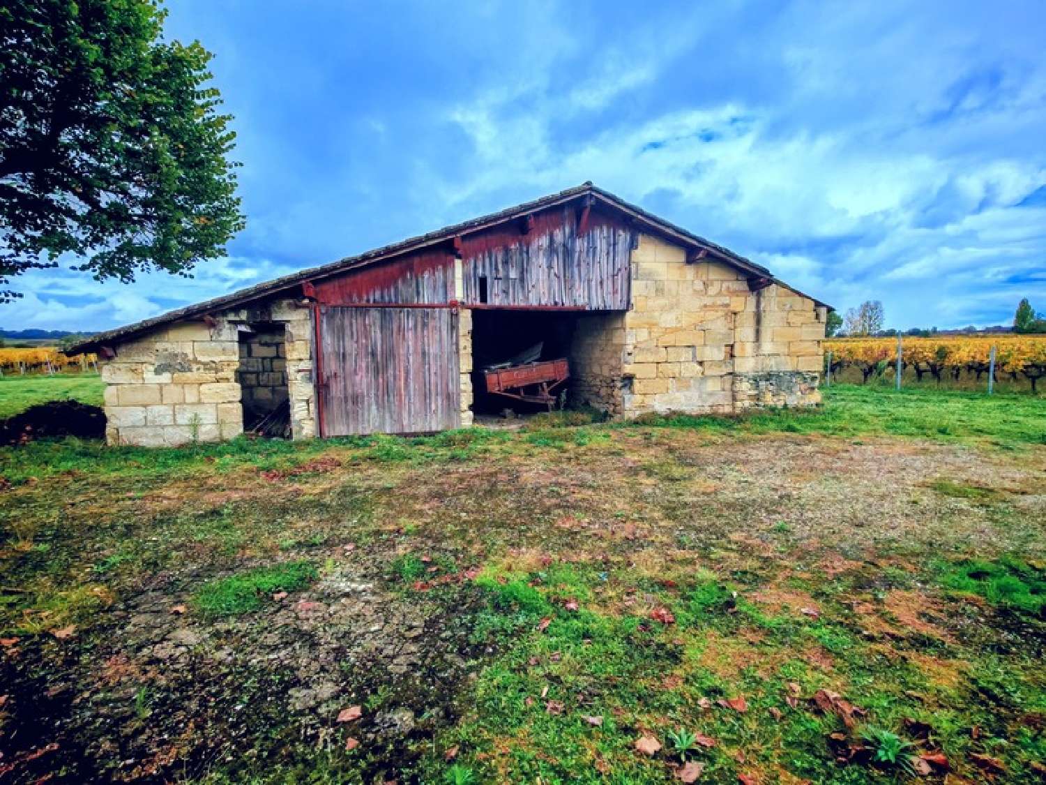 kaufen Haus Saint-Émilion Gironde 6