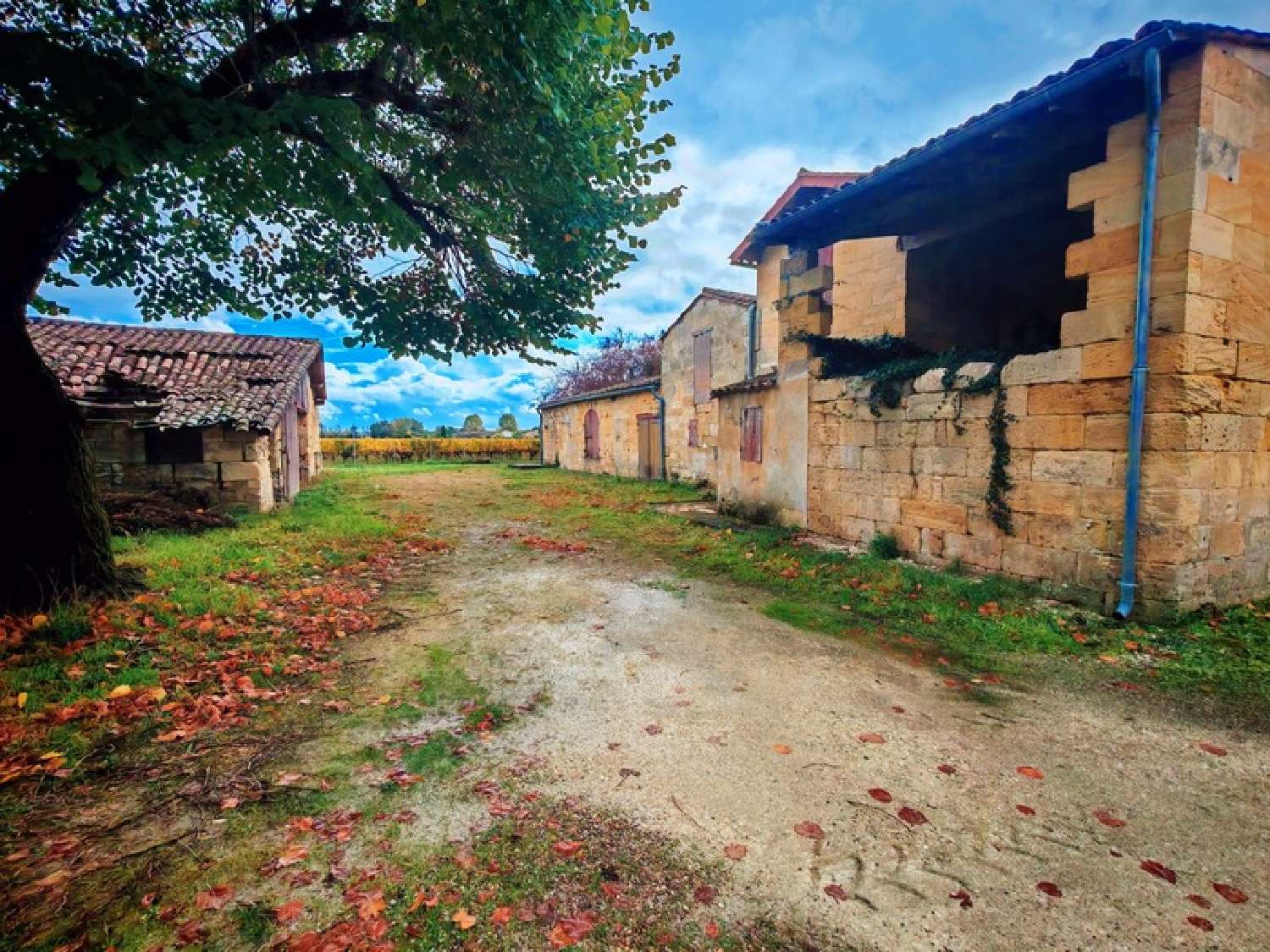 kaufen Haus Saint-Émilion Gironde 7