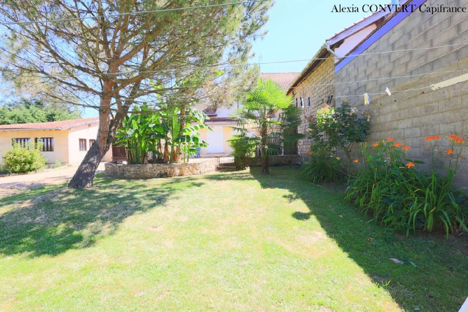  à vendre maison Saint-Étienne-sur-Reyssouze Ain 5