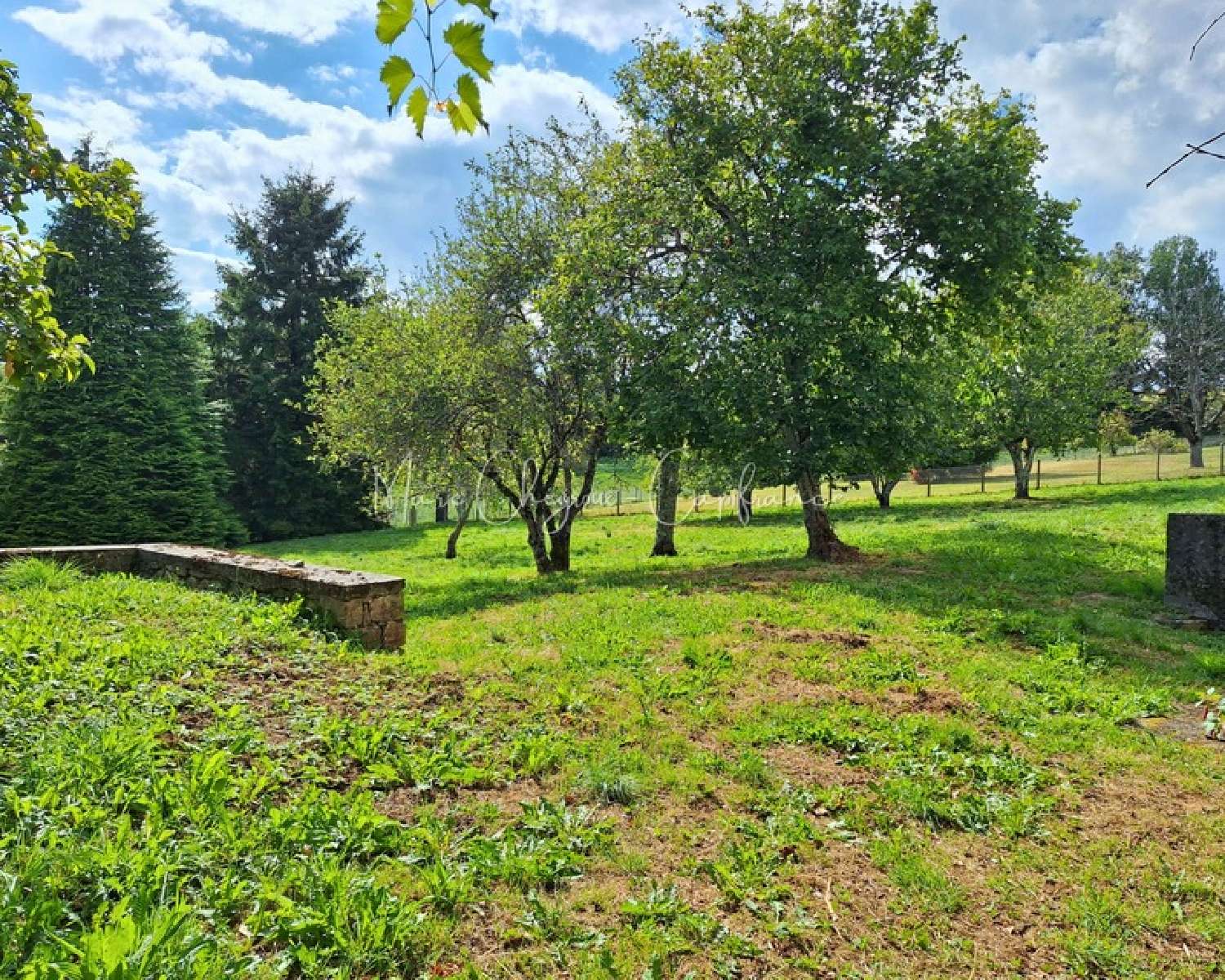  te koop huis Saint-Hilaire-Peyroux Corrèze 7