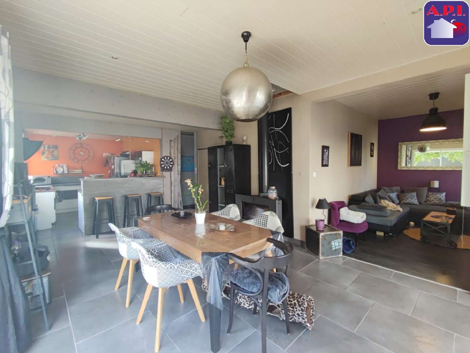  à vendre maison Saint-Jean-du-Falga Ariège 2