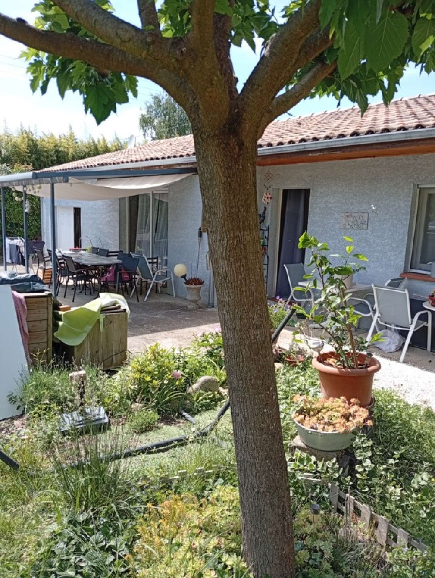  te koop huis Saint-Jean-du-Falga Ariège 2