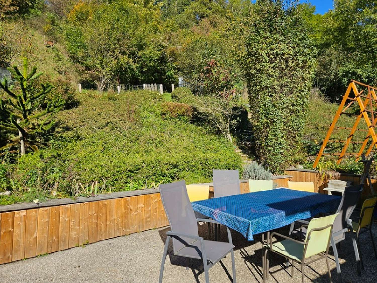 kaufen Haus Saint-Jeoire Haute-Savoie 4