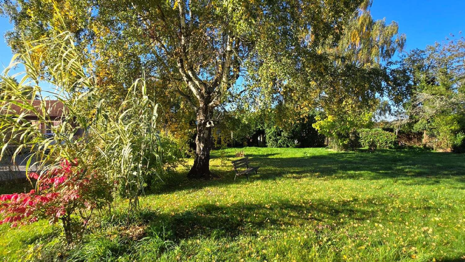 te koop huis Saint-Jouvent Haute-Vienne 2