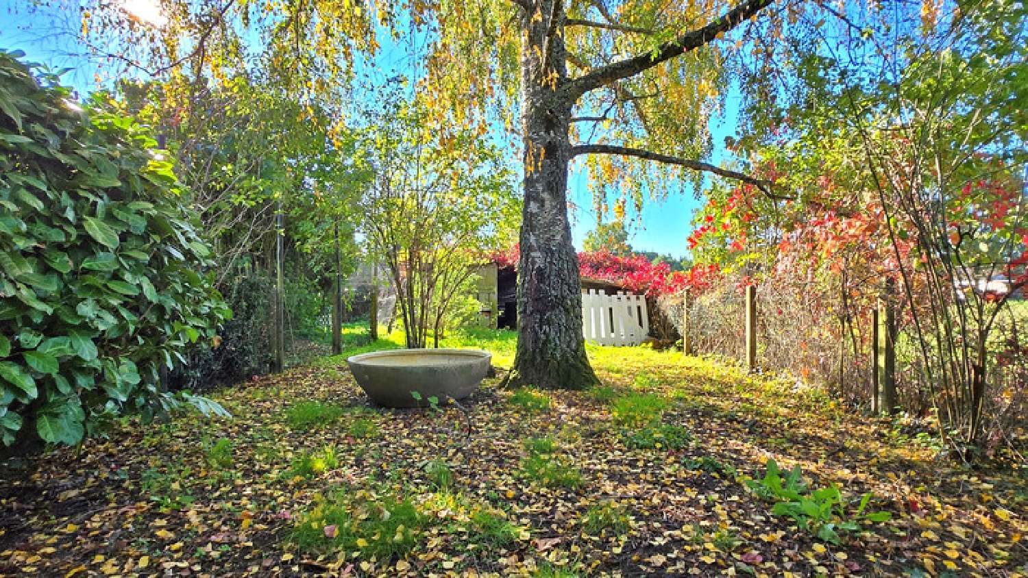 te koop huis Saint-Jouvent Haute-Vienne 6