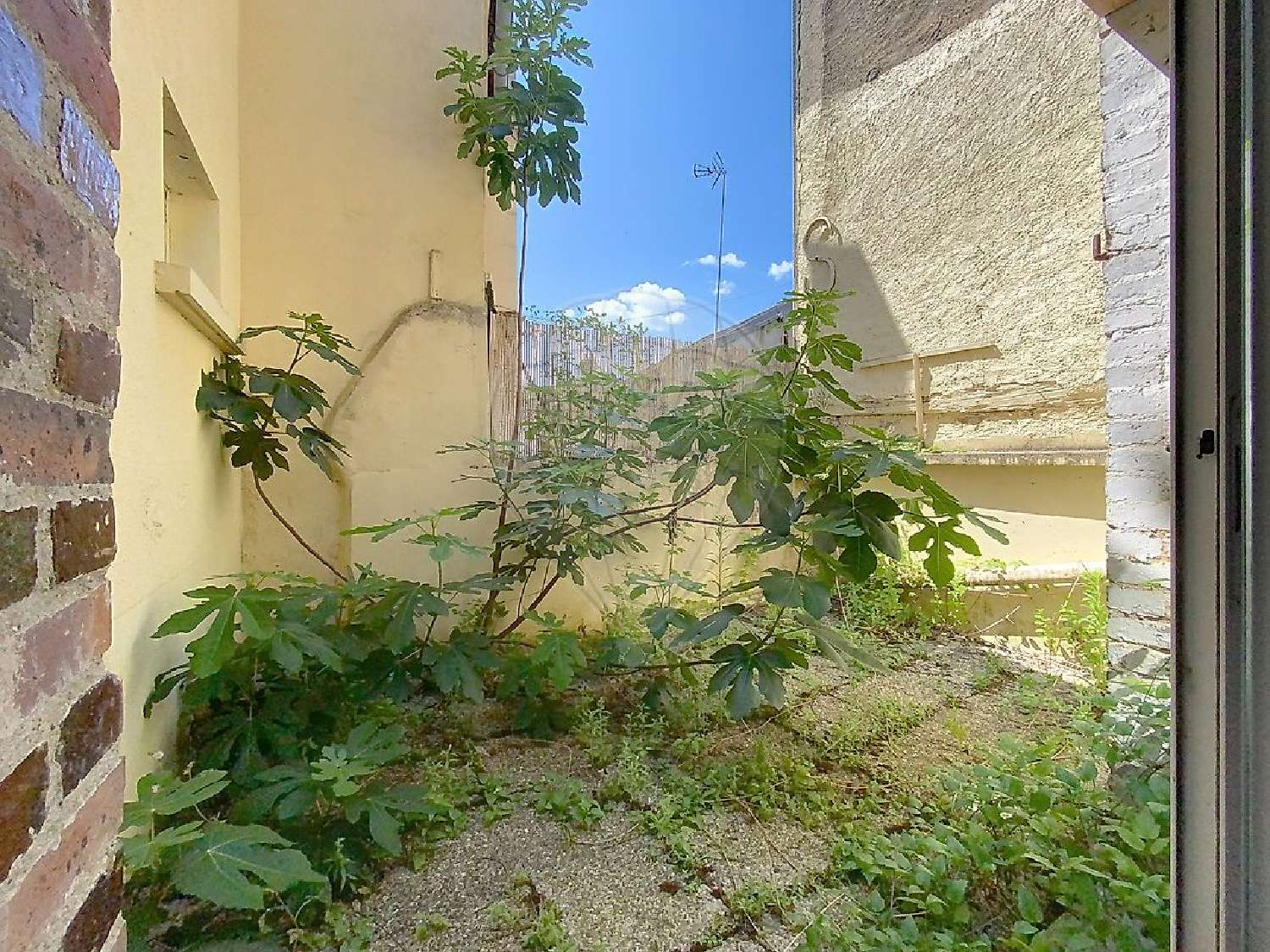  te koop huis Saint-Julien-du-Sault Yonne 6