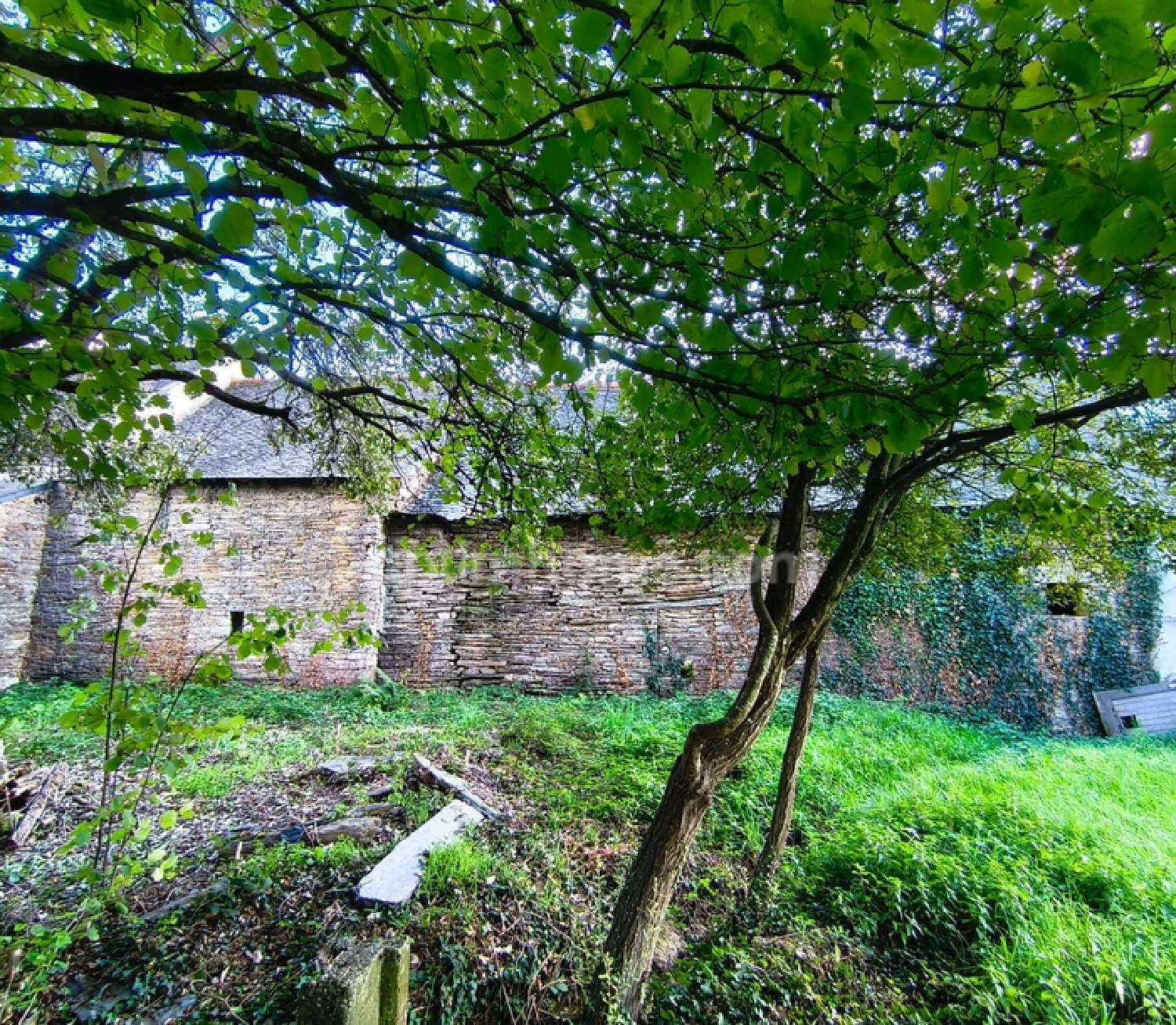  te koop huis Saint-Just Ille-et-Vilaine 2