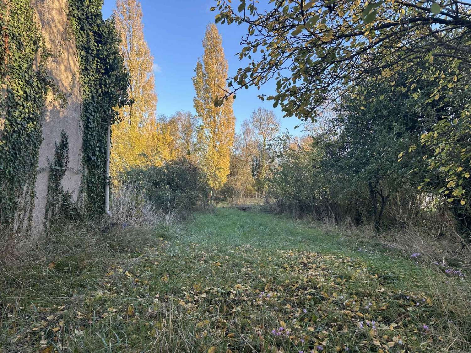 te koop huis Saint-Lambert-du-Lattay Maine-et-Loire 3