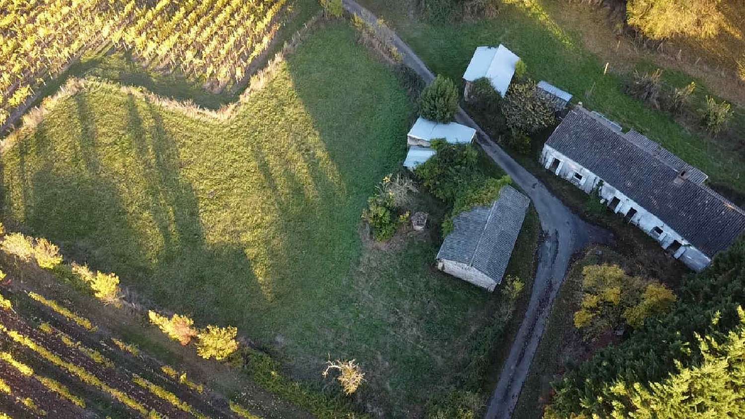 te koop huis Saint-Lambert-du-Lattay Maine-et-Loire 5