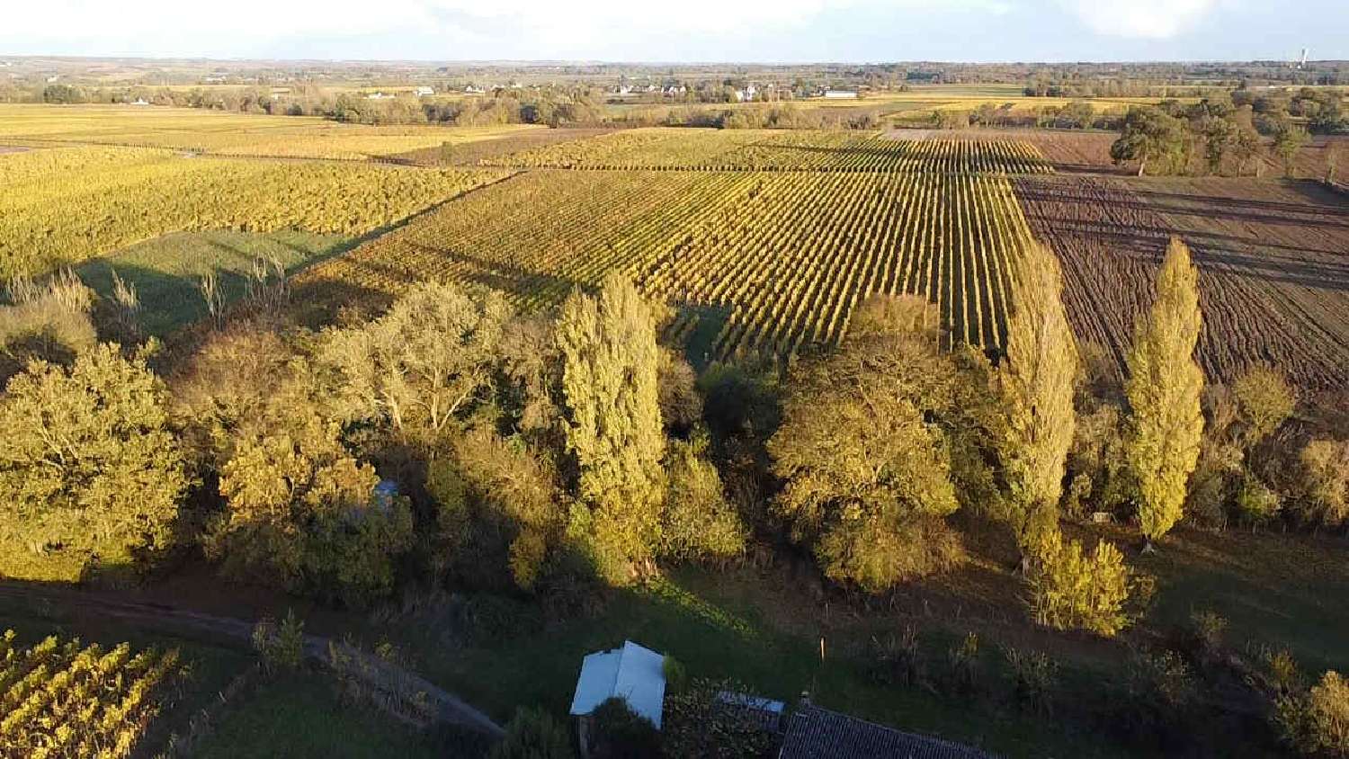 te koop huis Saint-Lambert-du-Lattay Maine-et-Loire 6