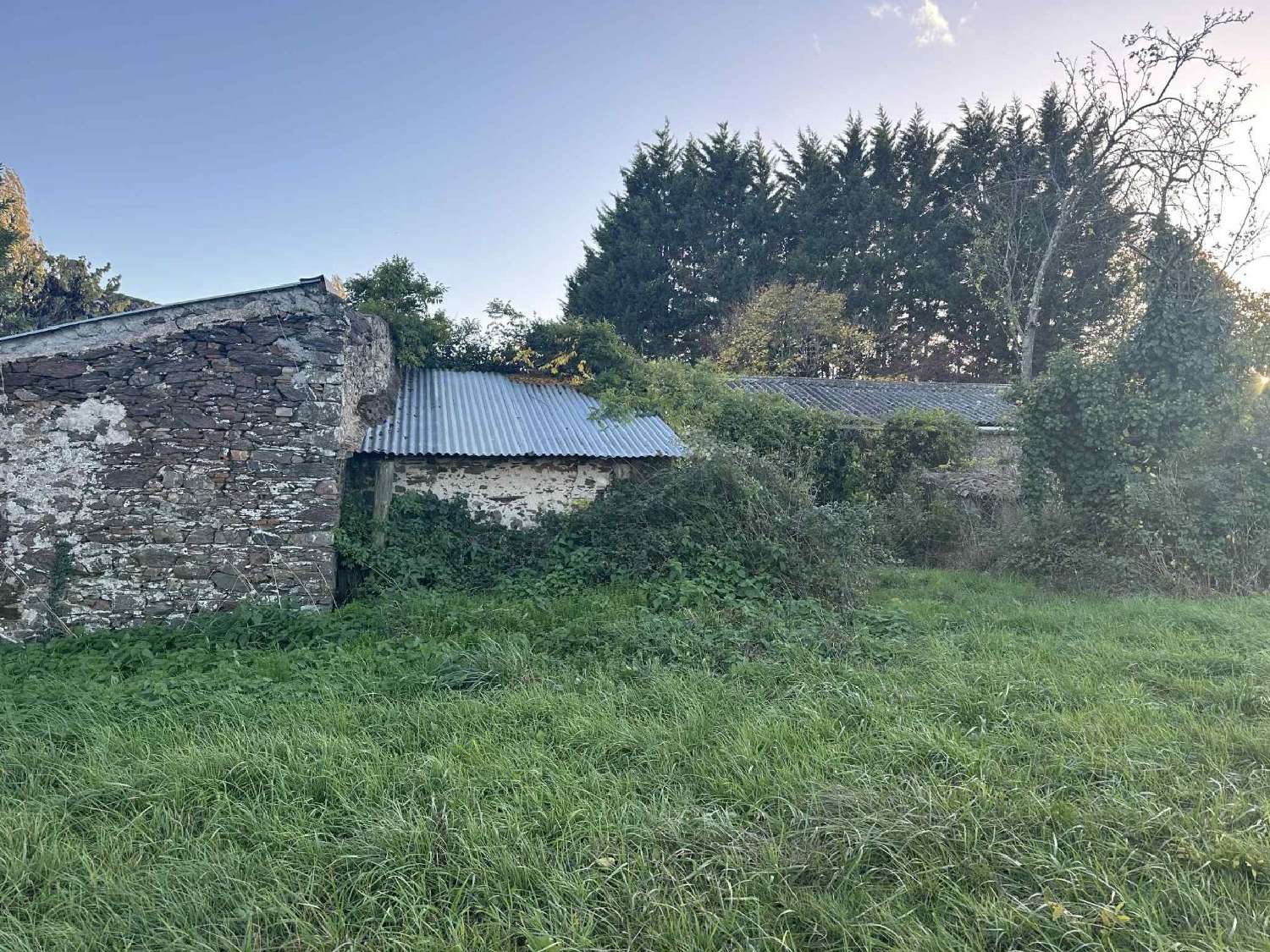 te koop huis Saint-Lambert-du-Lattay Maine-et-Loire 8