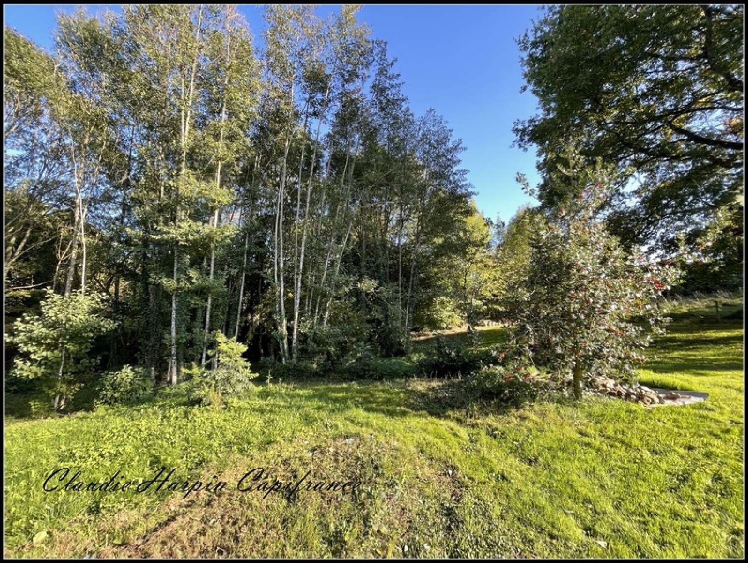for sale house Saint-Pardoux Deux-Sèvres 8