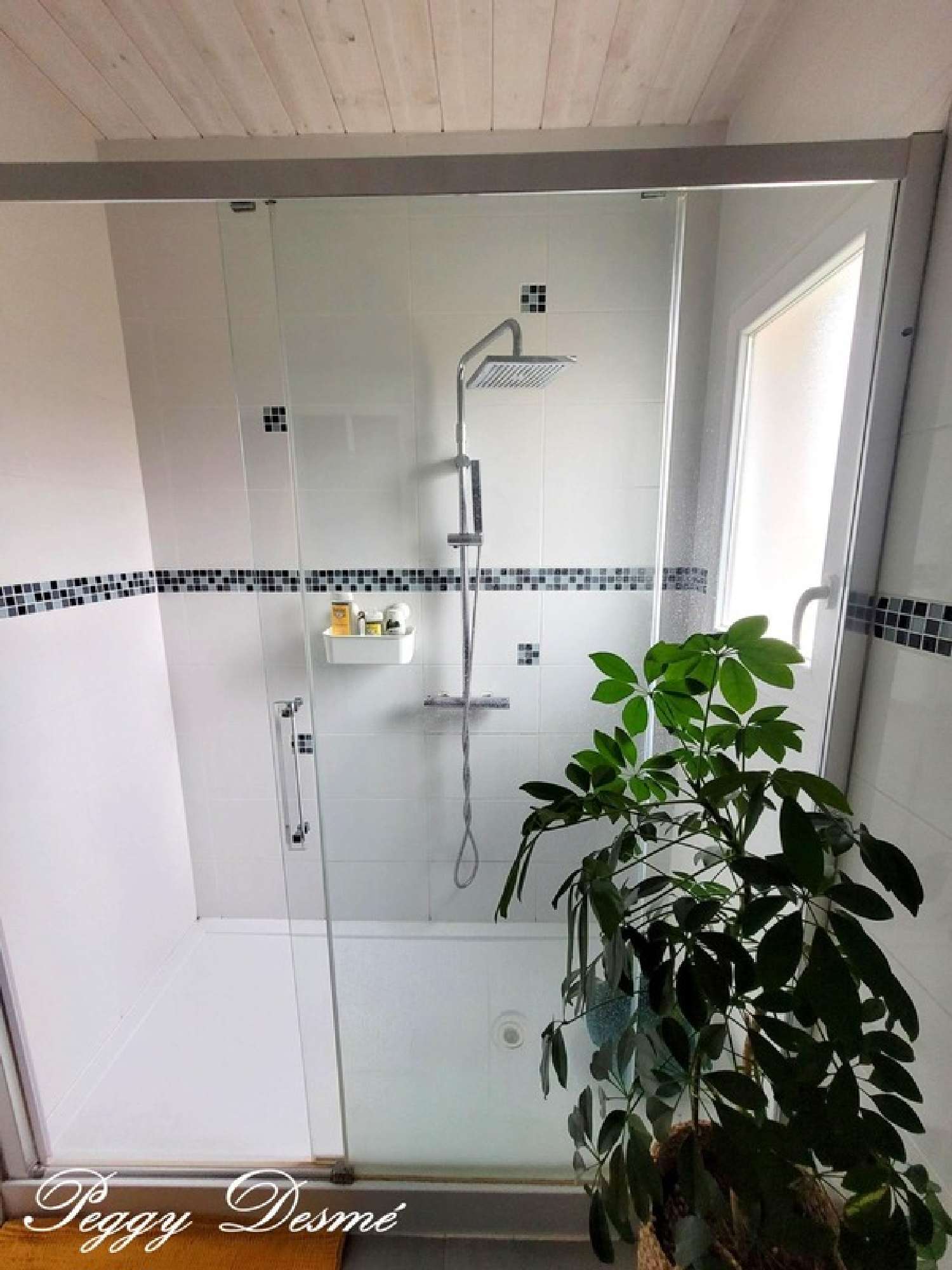  for sale house Saint-Pierre-d'Oléron Charente-Maritime 6
