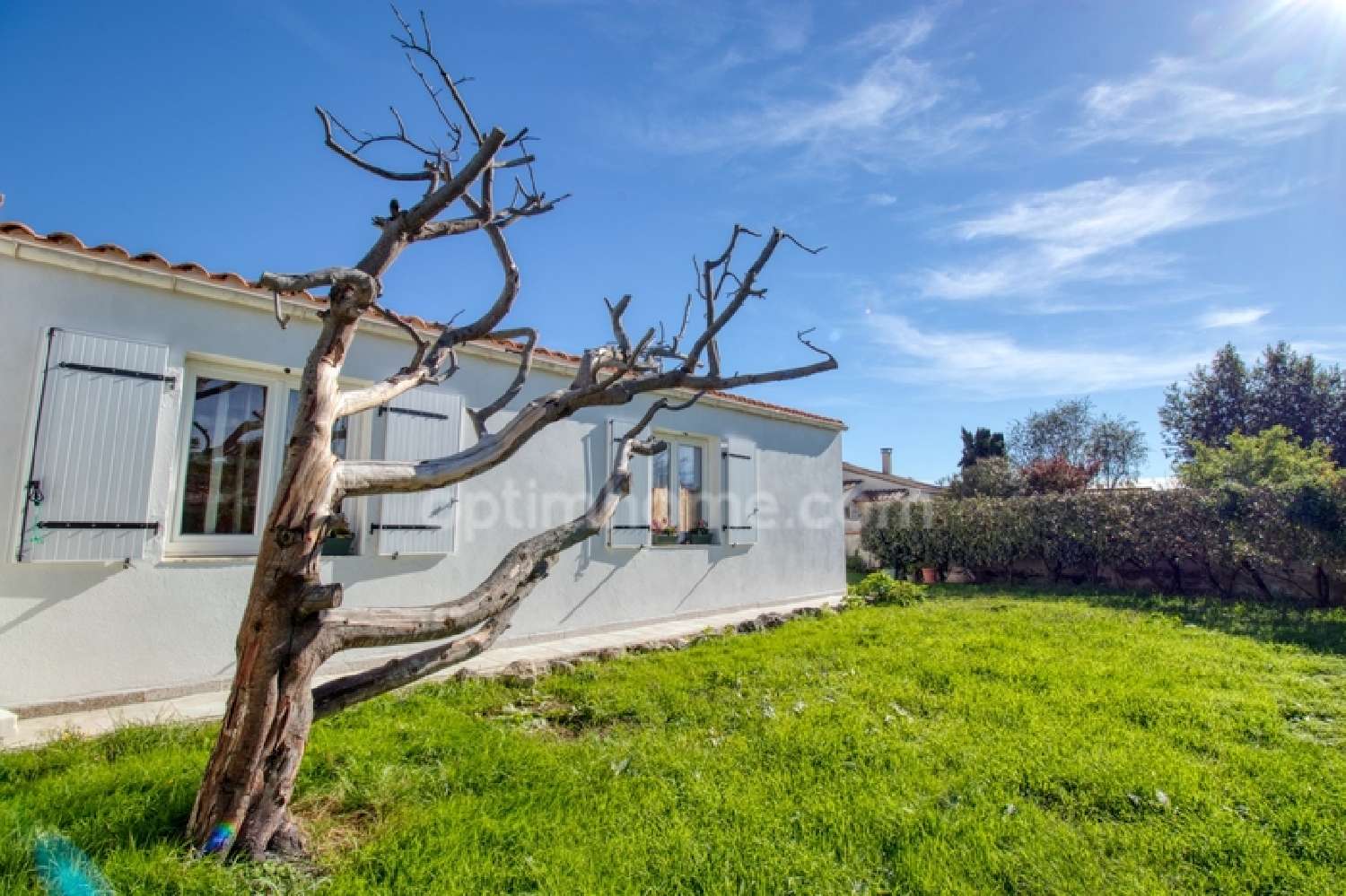  à vendre maison Saint-Pierre-d'Oléron Charente-Maritime 6
