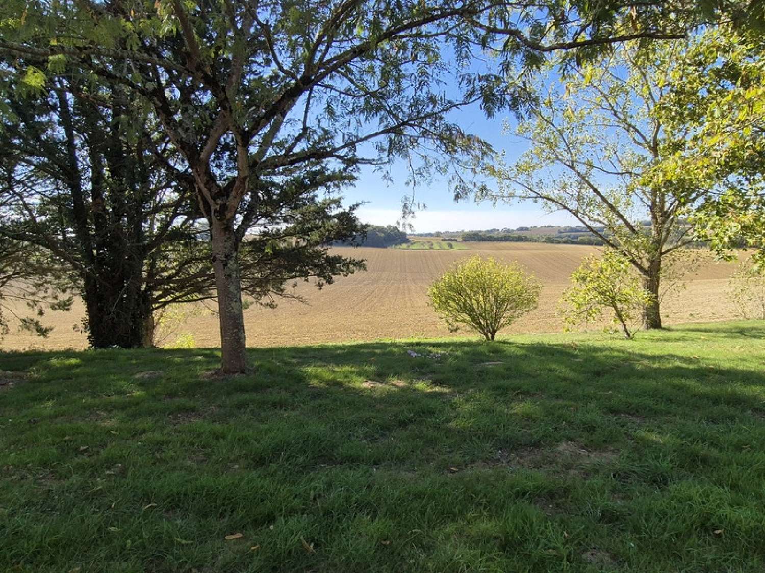  à vendre maison Saint-Puy Gers 3