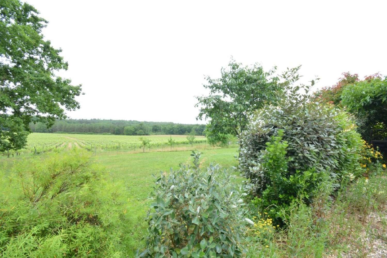  te koop huis Saint-Seurin-sur-l'Isle Gironde 2