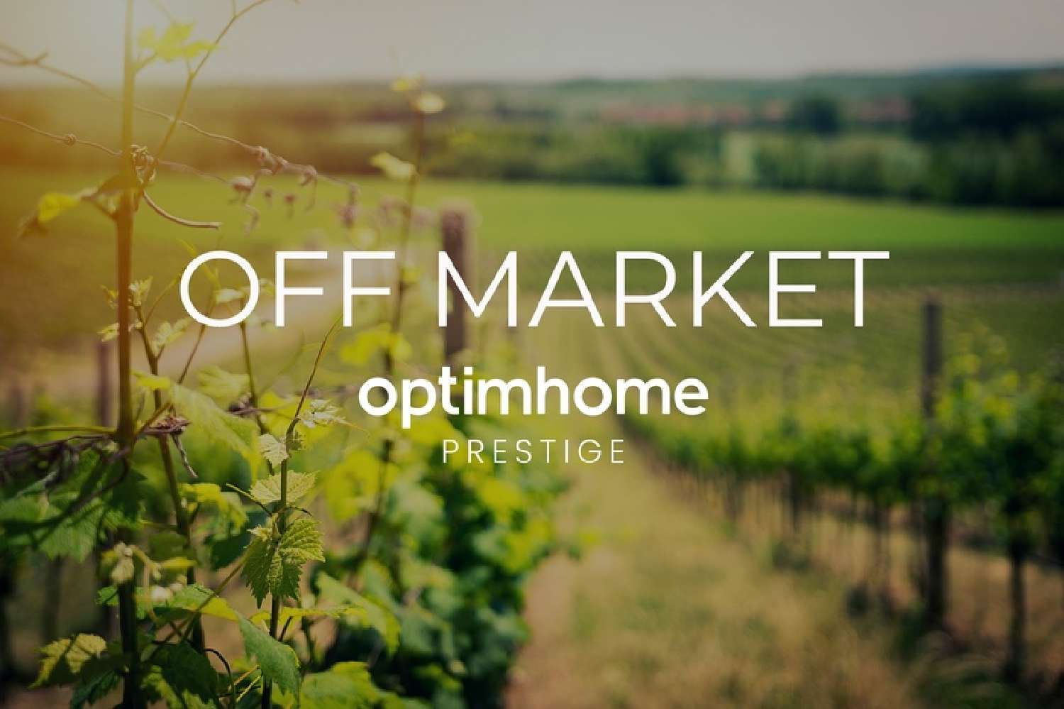  te koop huis Sainte-Marie-de-Ré Charente-Maritime 5