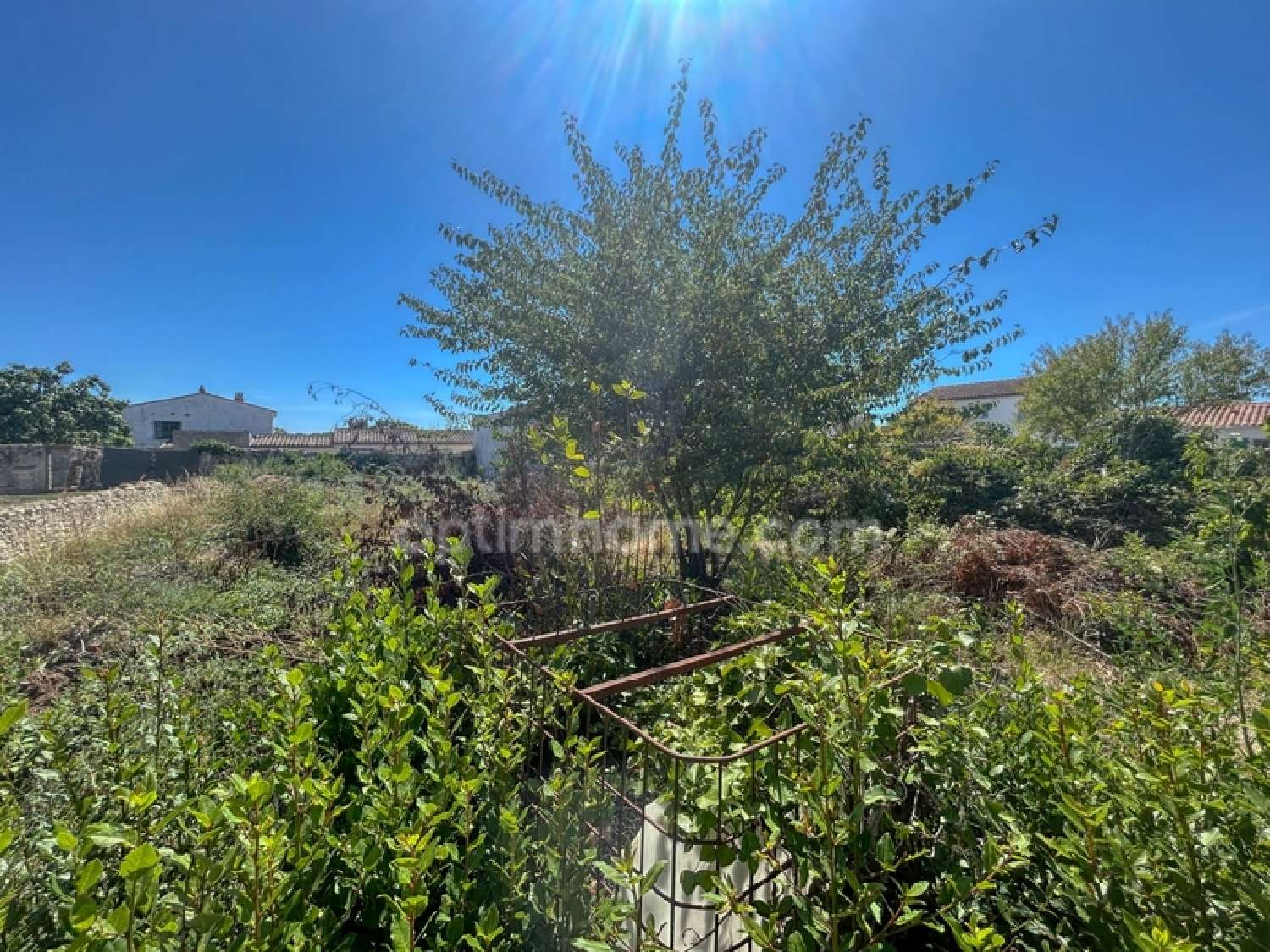  en venta casa Sainte-Marie-de-Ré Charente-Maritime 8