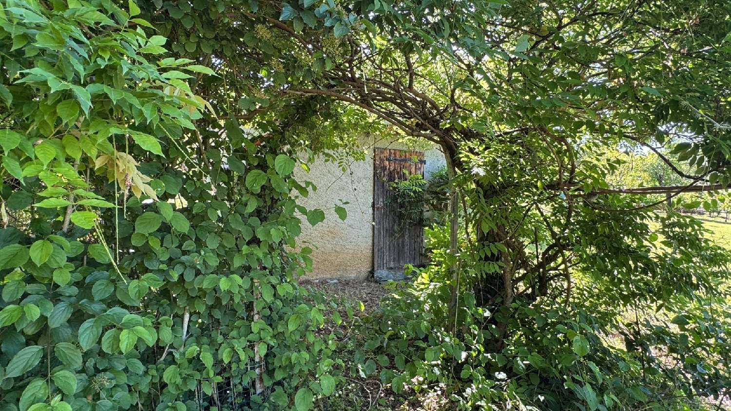 en venta casa Salvagnac-Cajarc Aveyron 6