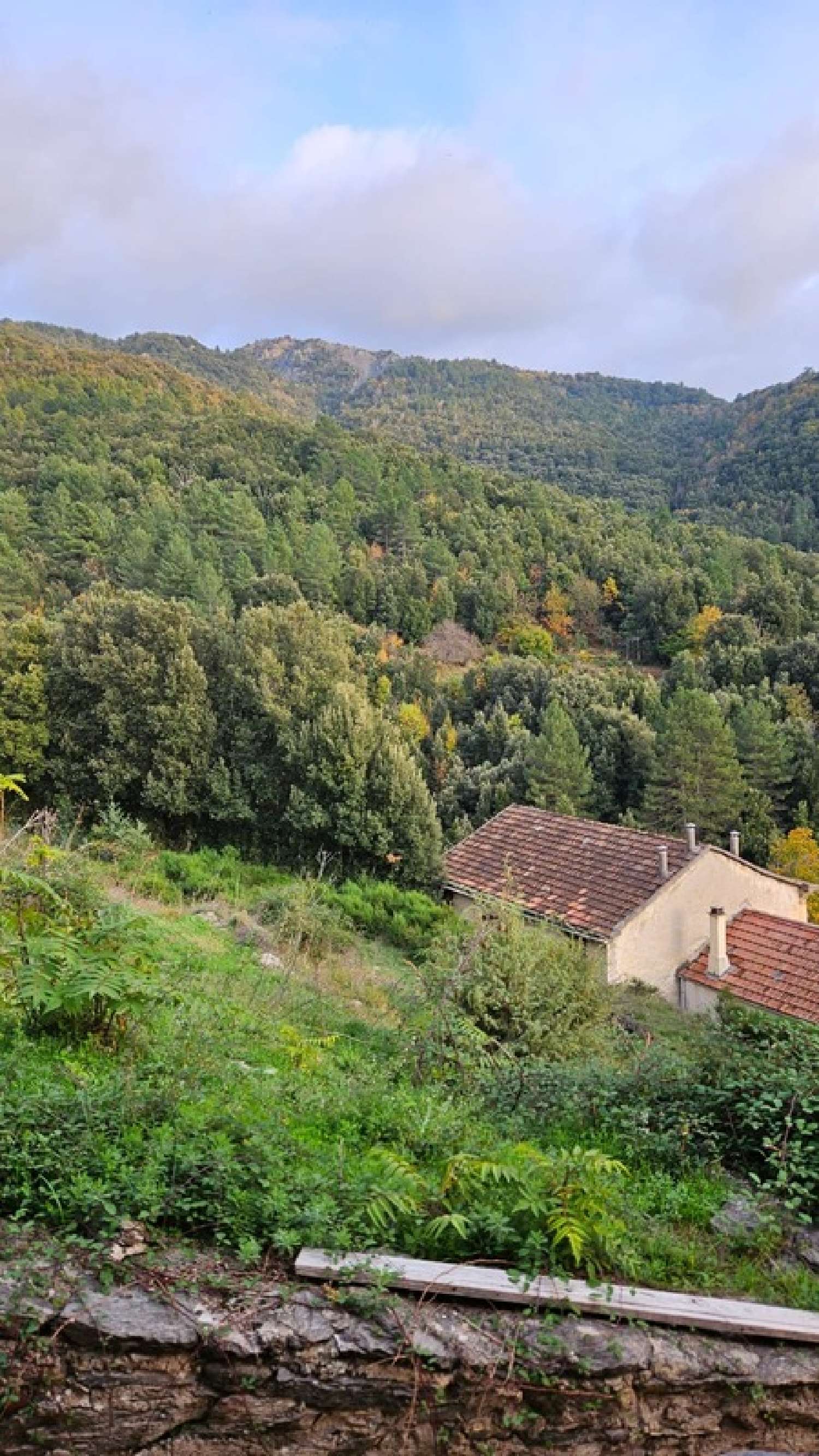  en venta casa San-Lorenzo Haute-Corse 2