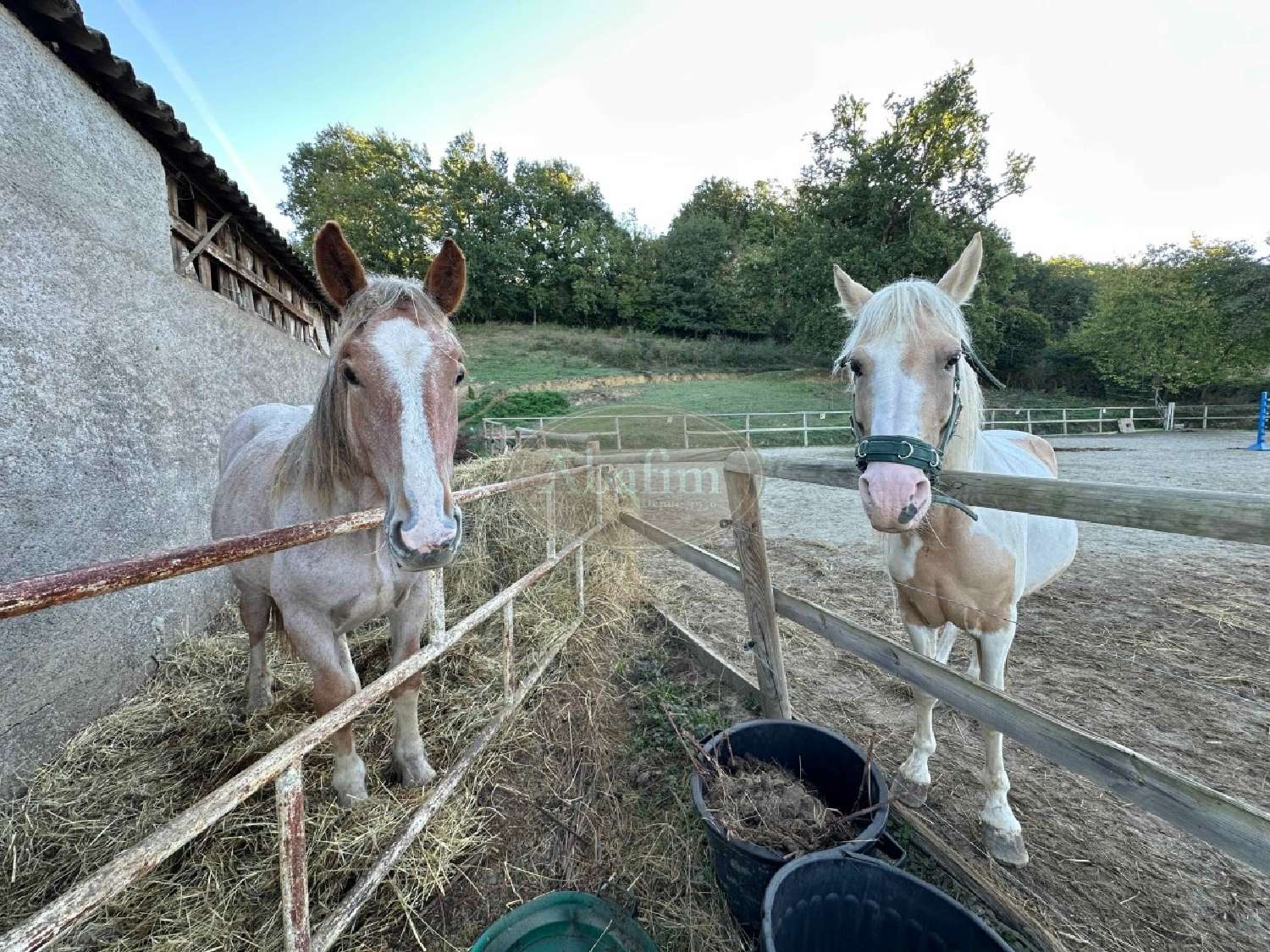 en venta casa Sarriac-Bigorre Hautes-Pyrénées 2
