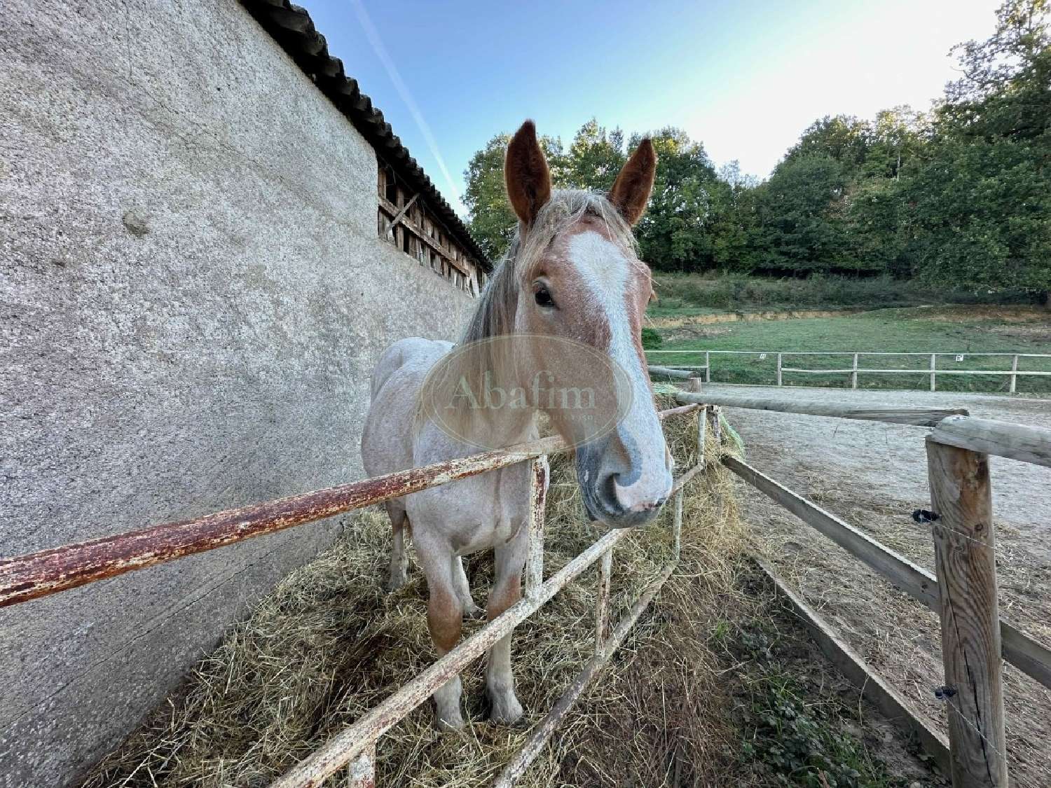  en venta casa Sarriac-Bigorre Hautes-Pyrénées 6