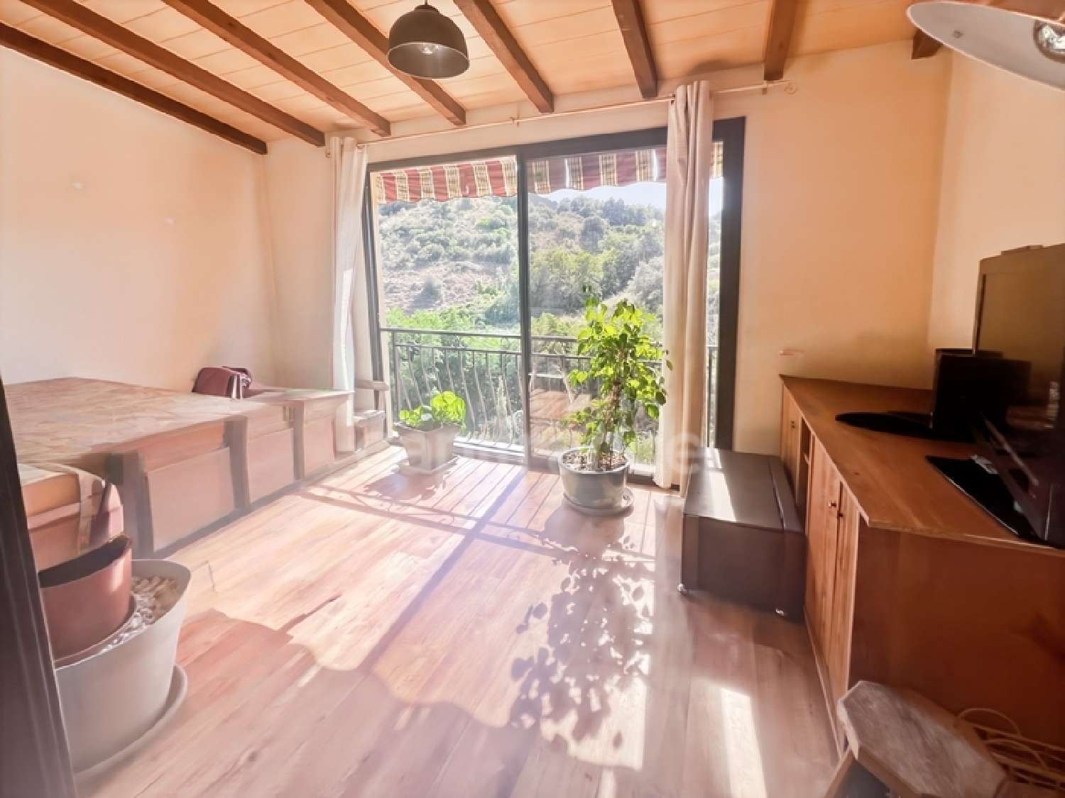  en venta casa Sarrola-Carcopino Corse-du-Sud 5